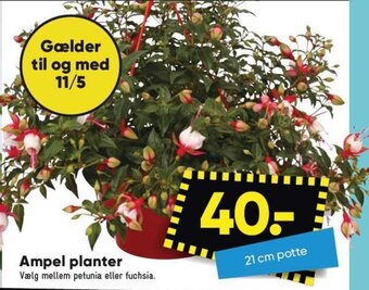 Bilka Ampel planter tilbud