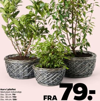Netto Kurv i pileflet tilbud