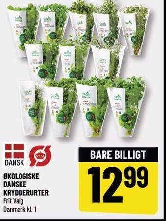 Løvbjerg Økologiske danske krydderurter tilbud