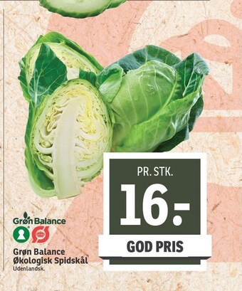 SPAR Grøn balance økologisk spidskål tilbud