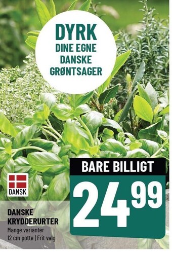 Løvbjerg Danske krydderurter tilbud