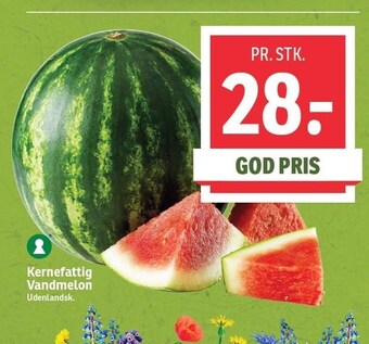 SPAR Kernefattig vandmelon tilbud