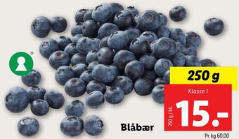Lidl Blåbær tilbud