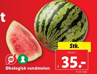 Lidl Økologisk vandmelon tilbud