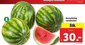 Lidl Kernefattig vandmelon tilbud