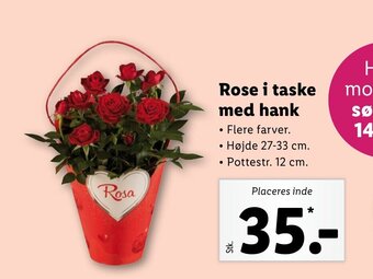 Lidl Rose i taske med hank tilbud