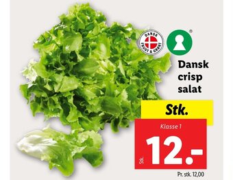 Lidl Dansk crisp salat tilbud