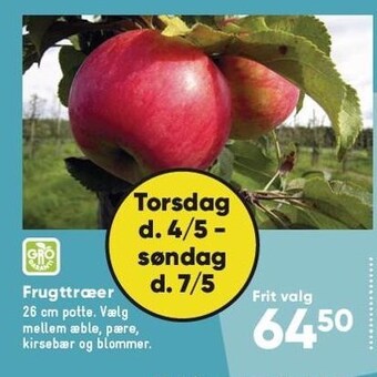 Bilka Frugttræer tilbud