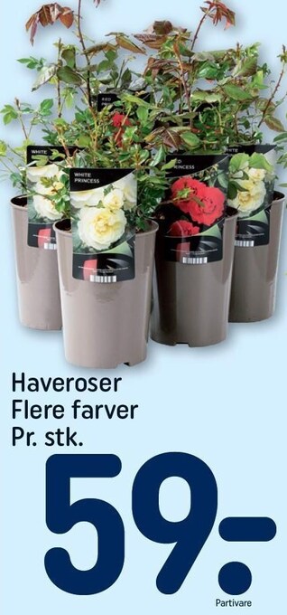 REMA 1000 Haveroser tilbud