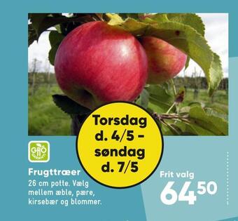 Bilka Frugttræer tilbud