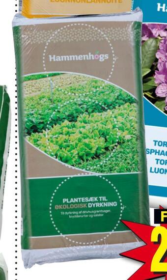 Harald Nyborg Økologisk plantesæk tilbud