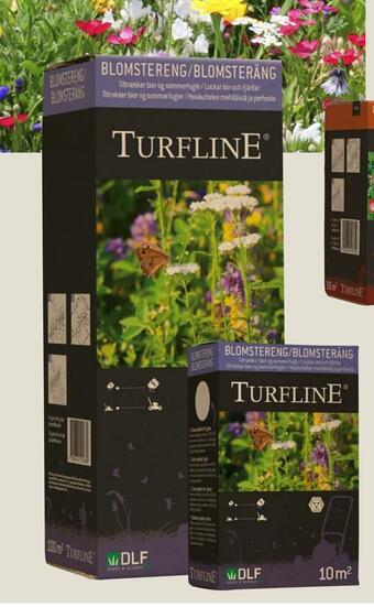 Harald Nyborg Blomstereng tilbud