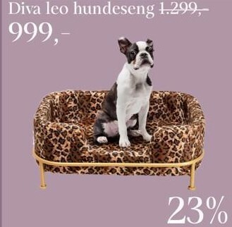 Diva leo hundeseng