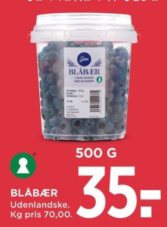 MENY Gestus blåbær tilbud