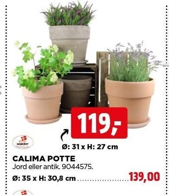 Calima potte