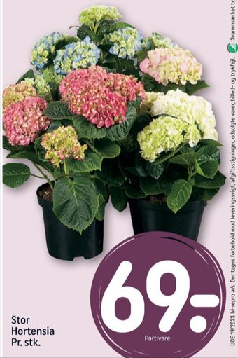 REMA 1000 Ukendt planter tilbud