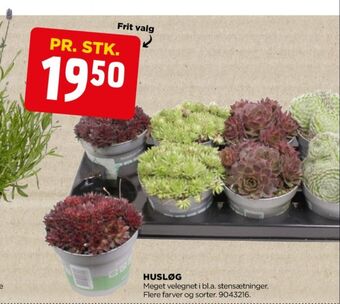 jem & fix Ukendt planter tilbud