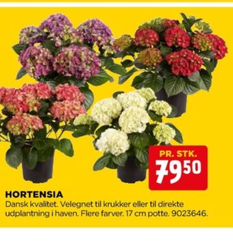 Ukendt planter