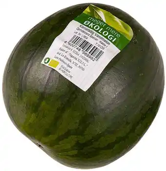 Øko. vandmelon, 1 ct