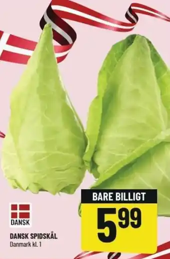 Løvbjerg Dansk Spidskål 1kl tilbud