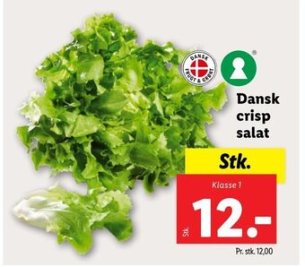 Lidl Dansk crisp salat tilbud
