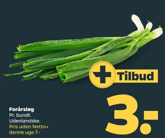 Netto Forårsløg tilbud