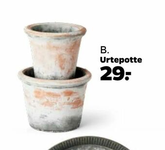 Netto Urtepotte tilbud