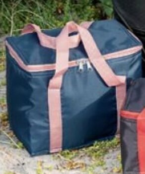 REMA 1000 Køletaske 7 liter 25x15x20 cm tilbud