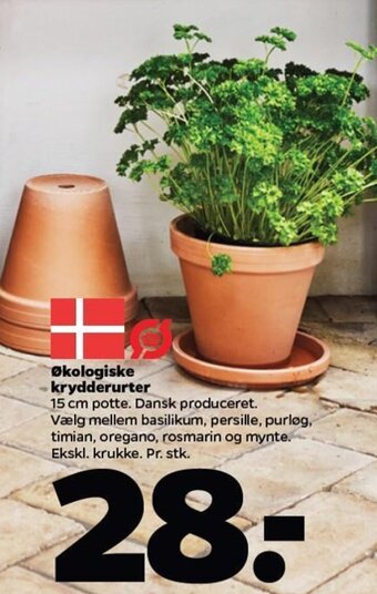 Netto Økologiske krydderurter tilbud