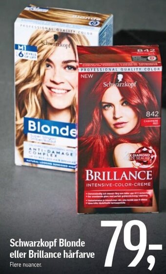 Schwarzkopf Blonde eller Brillance hårfarve