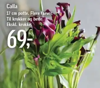 Føtex Calla tilbud