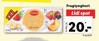Lidl Frugtyoghurt tilbud