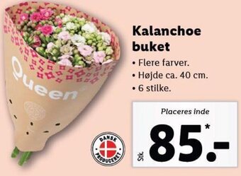 Kalanchoe buket