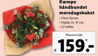 Lidl Kæmpe håndbundet morsdagsbuket tilbud