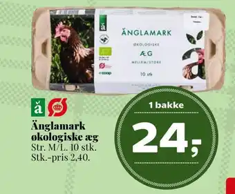 Dagli'Brugsen Änglamark økologiske æg tilbud