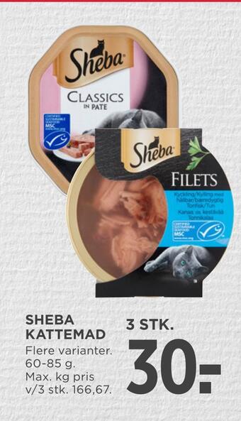 MENY Sheba kattemad tilbud