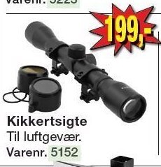 Kikkertsigte