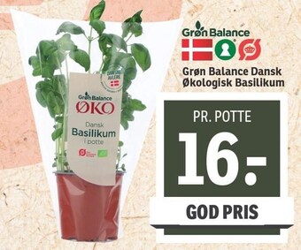 SPAR Grøn balance dansk økologisk basilikum tilbud