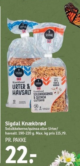 SPAR Sigdal knækbrød tilbud