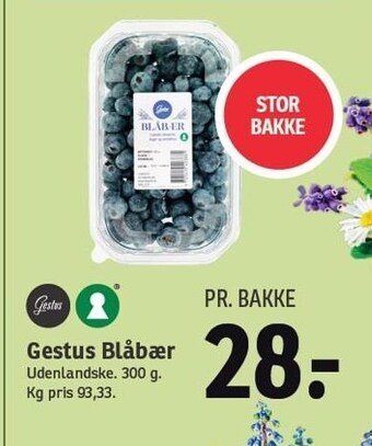 SPAR Gestus blåbær tilbud