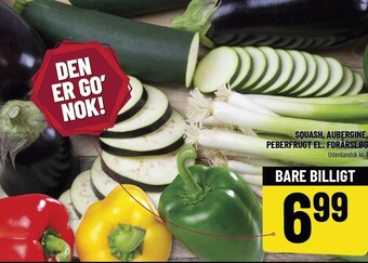 Løvbjerg Squash, aubergine, peberfrugt el. forårsløg tilbud