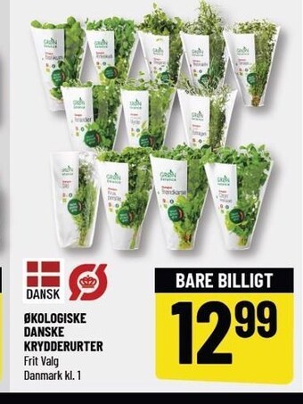 Løvbjerg Økologiske danske krydderurter tilbud