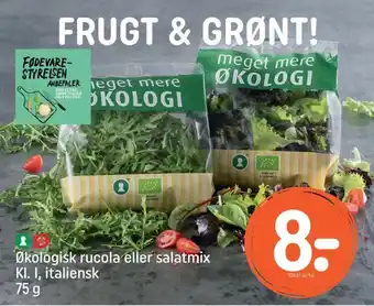 Økologisk rucola eller salatmix