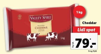 Lidl Cheddar tilbud