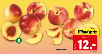 Nektariner