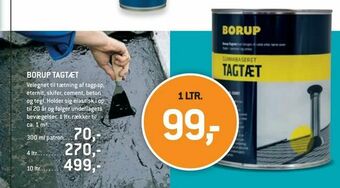 Borup tagtæt