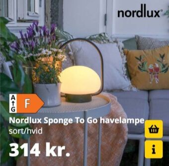 Sponge havelampe