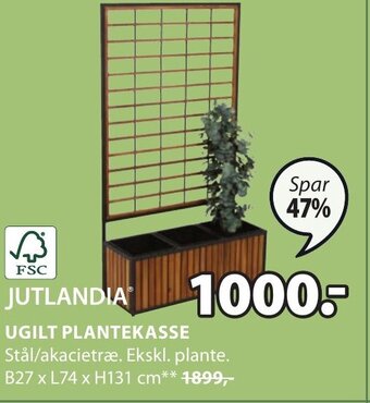 JYSK UGILT PLANTEKASSE tilbud