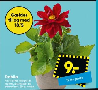 Bilka Ukendt planter tilbud