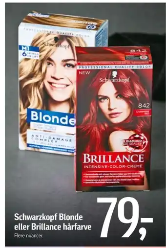 Blonde hårfarve
